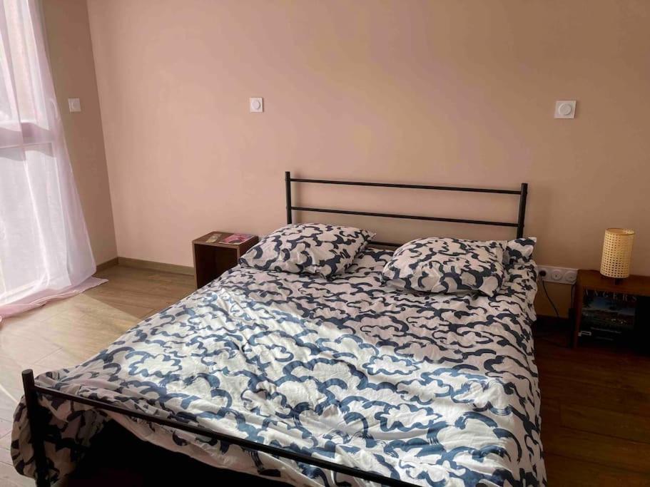 Ferienwohnung Quai Sud - Gare, 100 M2, Parking, Wifi, Superette, Lave Linge Angers Exterior foto