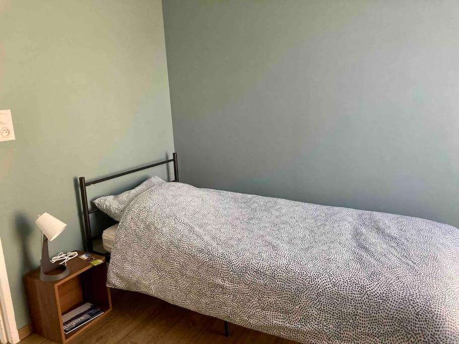 Ferienwohnung Quai Sud - Gare, 100 M2, Parking, Wifi, Superette, Lave Linge Angers Exterior foto